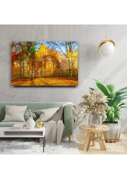 - Orman Cam Tablo modelleri