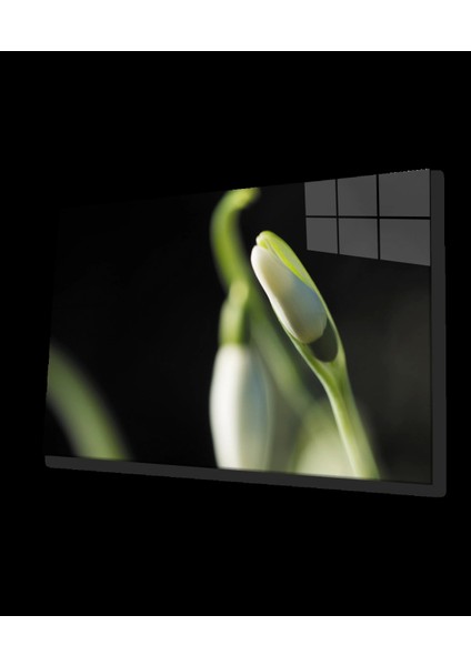 - Yeşil Beyaz Çiçek Cam Tablo Green