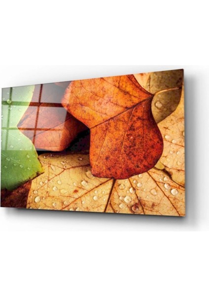 - Yapraklar Cam Tablo
