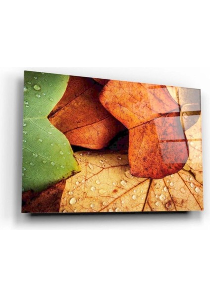 - Yapraklar Cam Tablo fiyatları