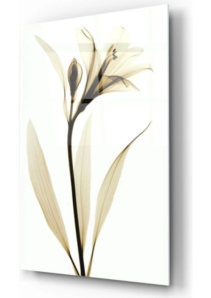 - Çiçek Cam Tablo fiyatları