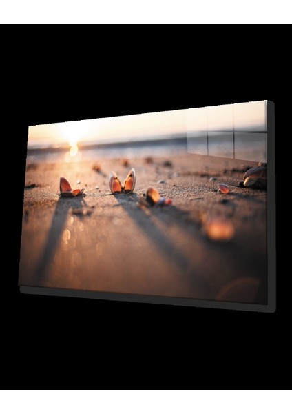 - Sahilde Deniz Kabukları Gün Batımı Cam Tablo