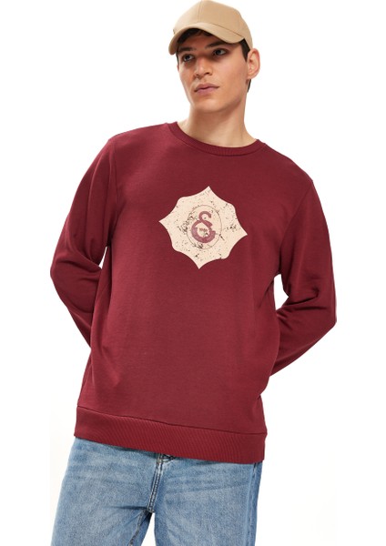 Galatasaray Erkek Sweatshirt E251076