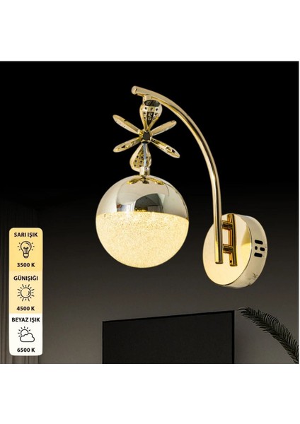 Modern Adele Gold 3 Renk Ledli Gold Kelebek Dekor Detaylı Lüks Modern Tasarım Tekli Ledli Aplik