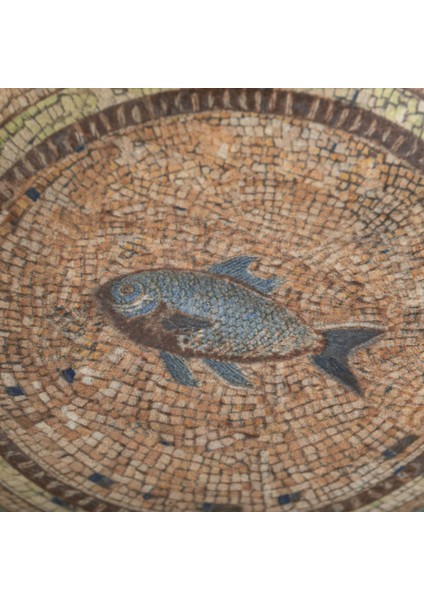 Lima Salata Kasesi 23CM