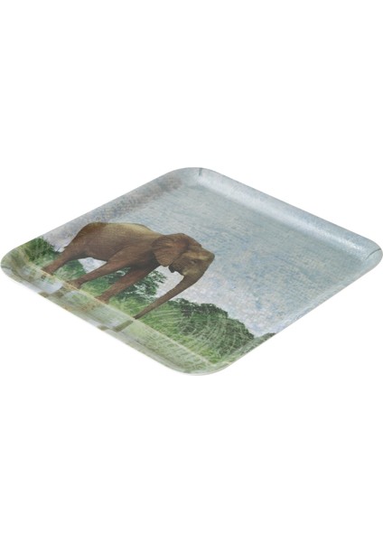 Wıld Kaydırmaz Tepsi 24CM-ELEPHANT