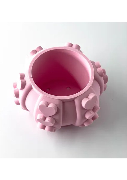 Kalp Desenli Modern Pembe Vazo