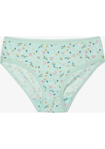 Kız Çocuk Mushroom 3lü Çok Renkli Slip Külot