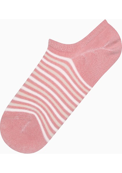 Pinky Striped 3lü Sneaker Çorap