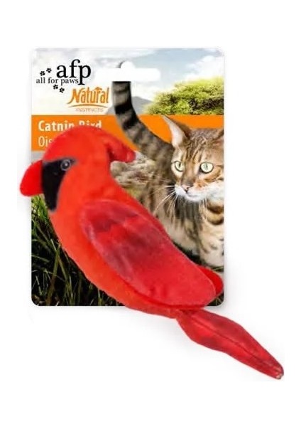 Catnipli Papağan Kuşu Kedi Oyuncağı 15x5x5 cm