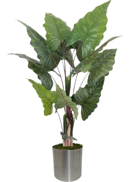 Yapay Fil Kulagı 180 cm Metal Saksı
