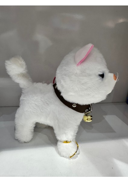 Pilli Sesli Tasmalı Kumandalı Yürüyen Sevimli Kedi Peluş Kedi Tasmalı Kedi
