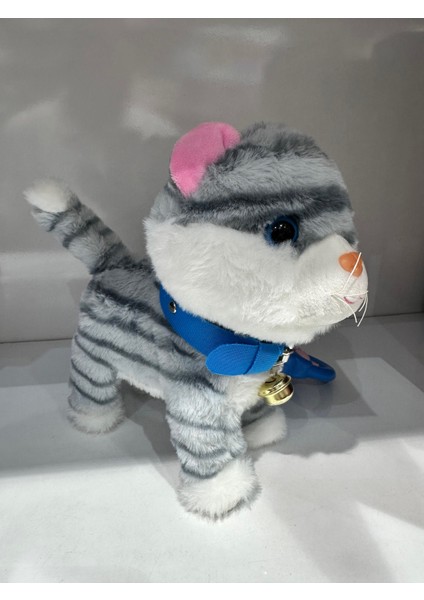 Pilli Sesli Tasmalı Kumandalı Yürüyen Sevimli Kedi Peluş Kedi Tasmalı Kedi fiyatları