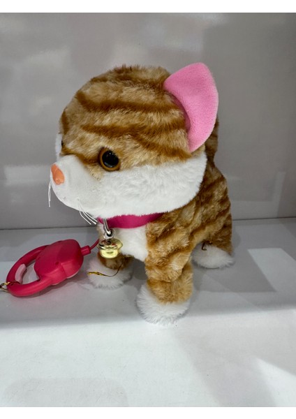 Pilli Sesli Tasmalı Kumandalı Yürüyen Sevimli Kedi Peluş Kedi Tasmalı Kedi fiyatları