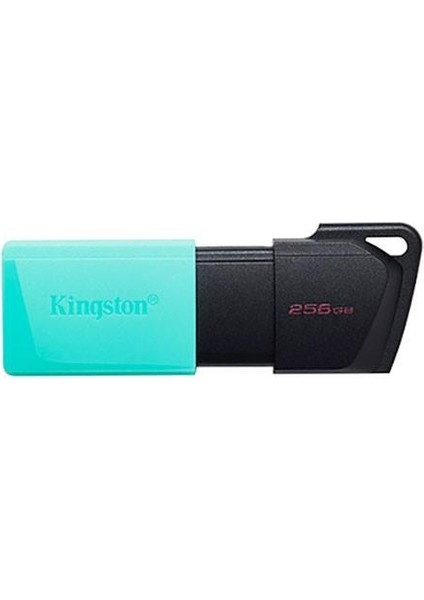Kıngston 256GB Usb3.2 Dtexodam DTXM/256GB USB Bellek