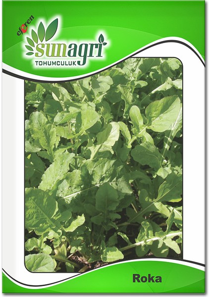 Sunagri Roka Tohumu 10 gr - Aromalı Koyu Yeşil Yapraklı Taze Tüketim Için Ideal