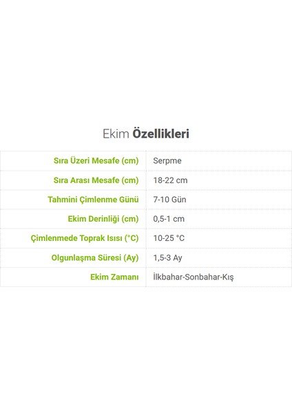 Sunagri Roka Tohumu 10 gr - Aromalı Koyu Yeşil Yapraklı Taze Tüketim Için Ideal fırsatları