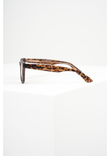 Royal Eyewear RE6802 Leopar Kahve Unısex Güneş Gözlüğü