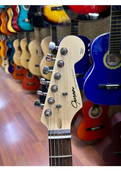 3 Sıngle Simli Mor Elektro Gitar-Kılıf Kablo Pena Dahil