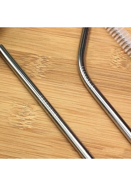 Paslanmaz Çelik Pipet, Temizleme Fırçası, Metal Pipet 2'li