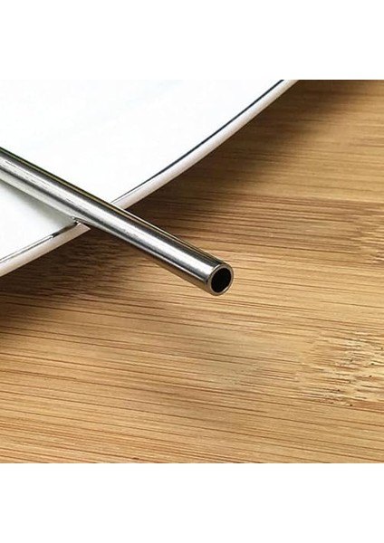 Paslanmaz Çelik Pipet, Temizleme Fırçası, Metal Pipet 2'li