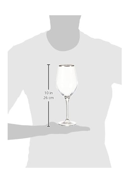 Chamonix Beyaz Şarap Kadehi Silver fiyatları