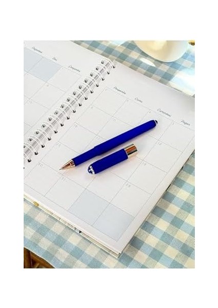 Ajanda 2024-2025 Spiralli 17x23cm 100gr. fiyatları