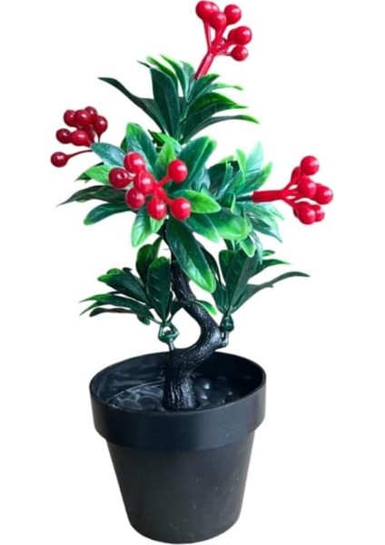 Menashop Yapay Çiçek Saksıda Kokina Mutluluk Huzur ve Şans Sembolü Ev Dekor Süs Bitkisi