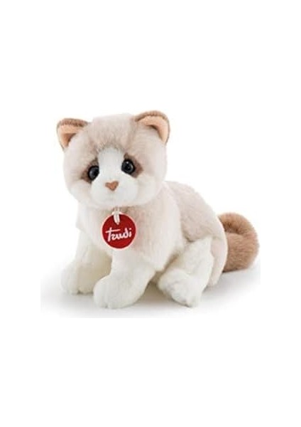 20872 Kedi Brad Pelüş, Beyaz/bej, 24 cm
