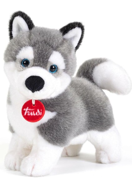 22271 - Husky Marcus
