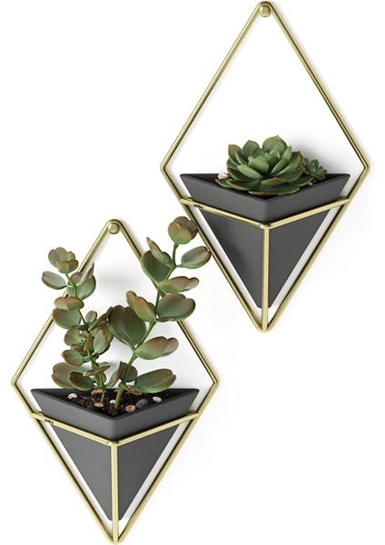 Menashop Trigg Duvar Vazosu ve Geometrik Dekorasyon - Oda Bitkileri, Sukulentler, Hava Bitkileri, Kaktüs, Yapay Bitkiler ve Daha Fazlası Için Saksı, Siyah/pirinç, 2'li Set, Küçük