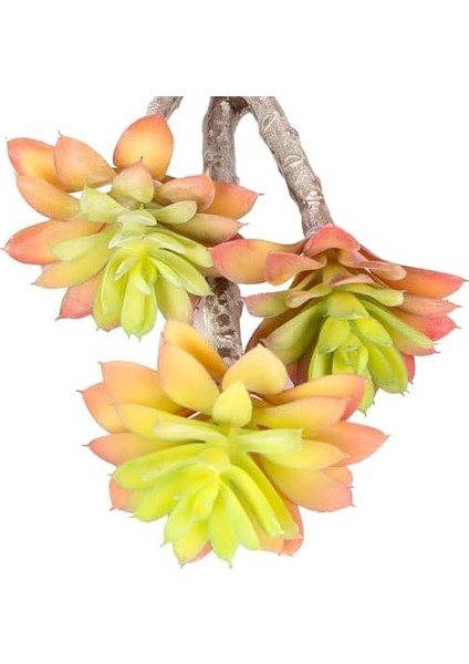 Menashop Yapay Kaktüs Sukulent Kırmızı/yeşil 35 cm modelleri