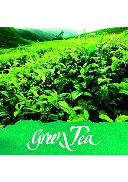 Ink Of The Senses 15 ml Scented 'greentea' - Green