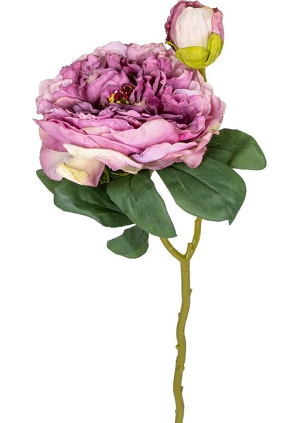 Menashop Gül Tomurcuklu Lila 50 cm .