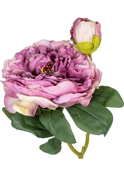 Menashop Gül Tomurcuklu Lila 50 cm .