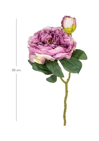 Menashop Gül Tomurcuklu Lila 50 cm .