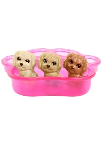ve Yeni Doğan Köpekler Oyun Seti, 3 Yaş ve Üzeri, HCK75
