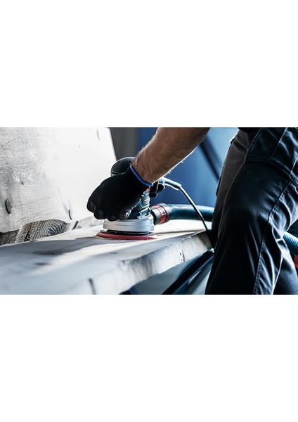 Professional 2608900677 5x Expert M480 Zımpara Filesi (Ø 125 Mm, Granülasyon 240, Eksantrik Zımpara Aksesuarı)
