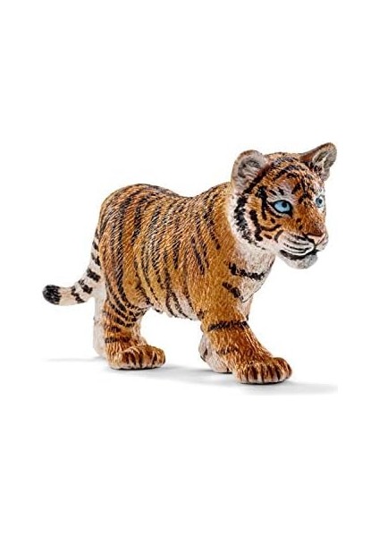 Wild Life Yavru Kaplan