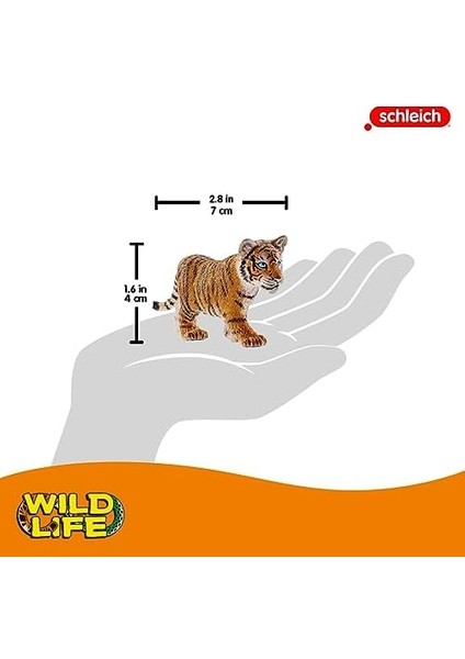 Wild Life Yavru Kaplan
