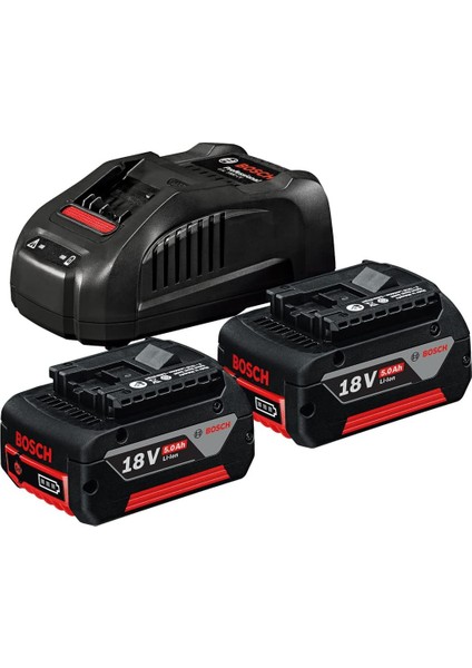 Professional 18 Volt Akü Şarj Cihazı Seti (2 x 5,0 Ah Li-Ion Akü + Gal 1880 Cv Şarj Cihazı, Karton Kutuda)