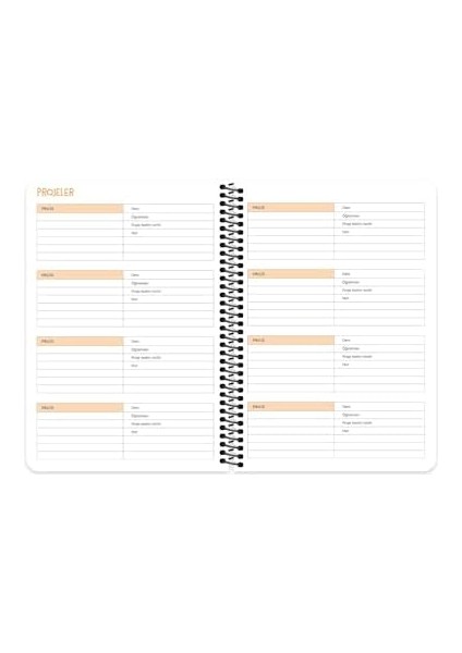 Şeyler A5 Spiralli Akademik Ajanda - Başta Sıkıldım fiyatları