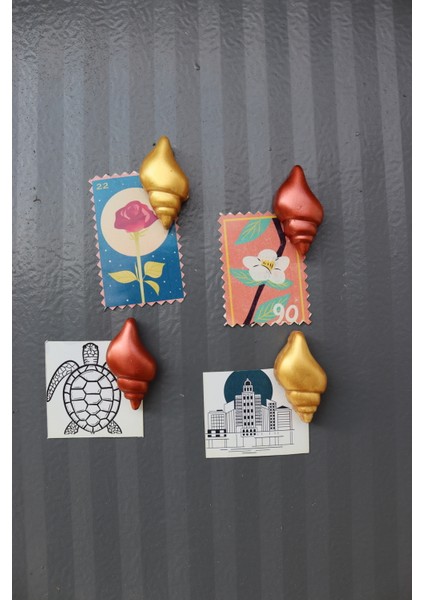 4 Lü Istiridye Deniz Kabuğu Magneti - Buzdolabı Magneti - Buzdolabı Süsü-Mıknatıslı Fotoğraf Tutucu