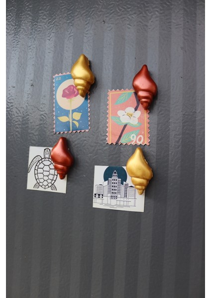 4 Lü Istiridye Deniz Kabuğu Magneti - Buzdolabı Magneti - Buzdolabı Süsü-Mıknatıslı Fotoğraf Tutucu fiyatları