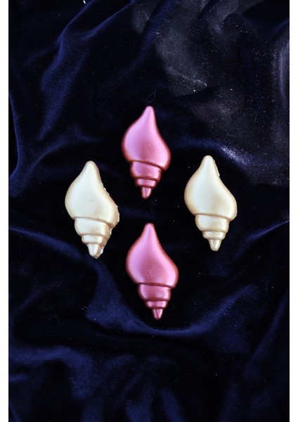 4 Lü Istiridye Deniz Kabuğu Magneti - Buzdolabı Magneti - Buzdolabı Süsü-Mıknatıslı Fotoğraf Tutucu modelleri