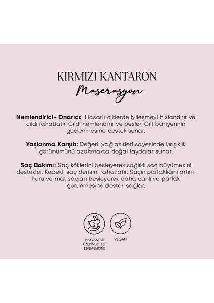 Kırmızı Kantaron Yağı - Zeytin Maserasyon (50 ml) modelleri