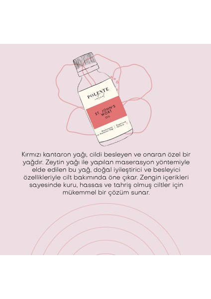 Kırmızı Kantaron Yağı - Zeytin Maserasyon (50 ml) fırsatları