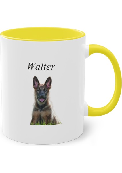 Evcil Hayvan Kupası Kişiye Özel Kedi, Köpek Kupası , Sahibi Olduğunuz Hayvanın Resmini Basıyoruz