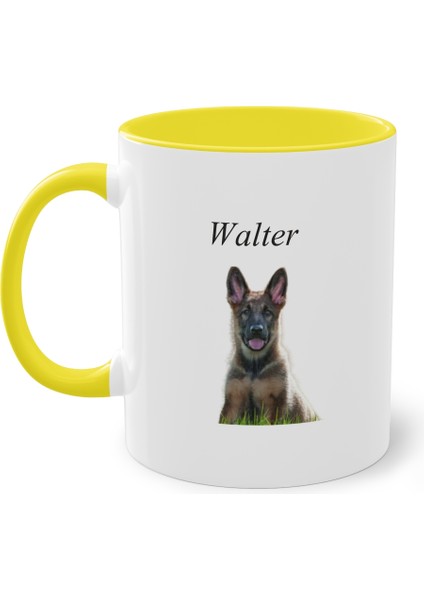 Evcil Hayvan Kupası Kişiye Özel Kedi, Köpek Kupası , Sahibi Olduğunuz Hayvanın Resmini Basıyoruz modelleri