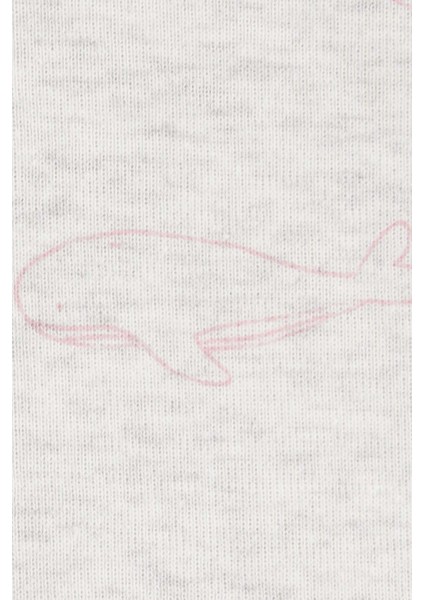 Layette Kız Bebek Kısa Kollu Body 5'li Paket modelleri